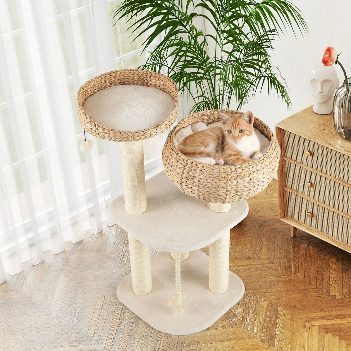 Albero per Gatti Da Interno Con Trespoli in Sisal Naturale, Lettini a Forma Di Cesto Con Pallina Appesa 2 Colori