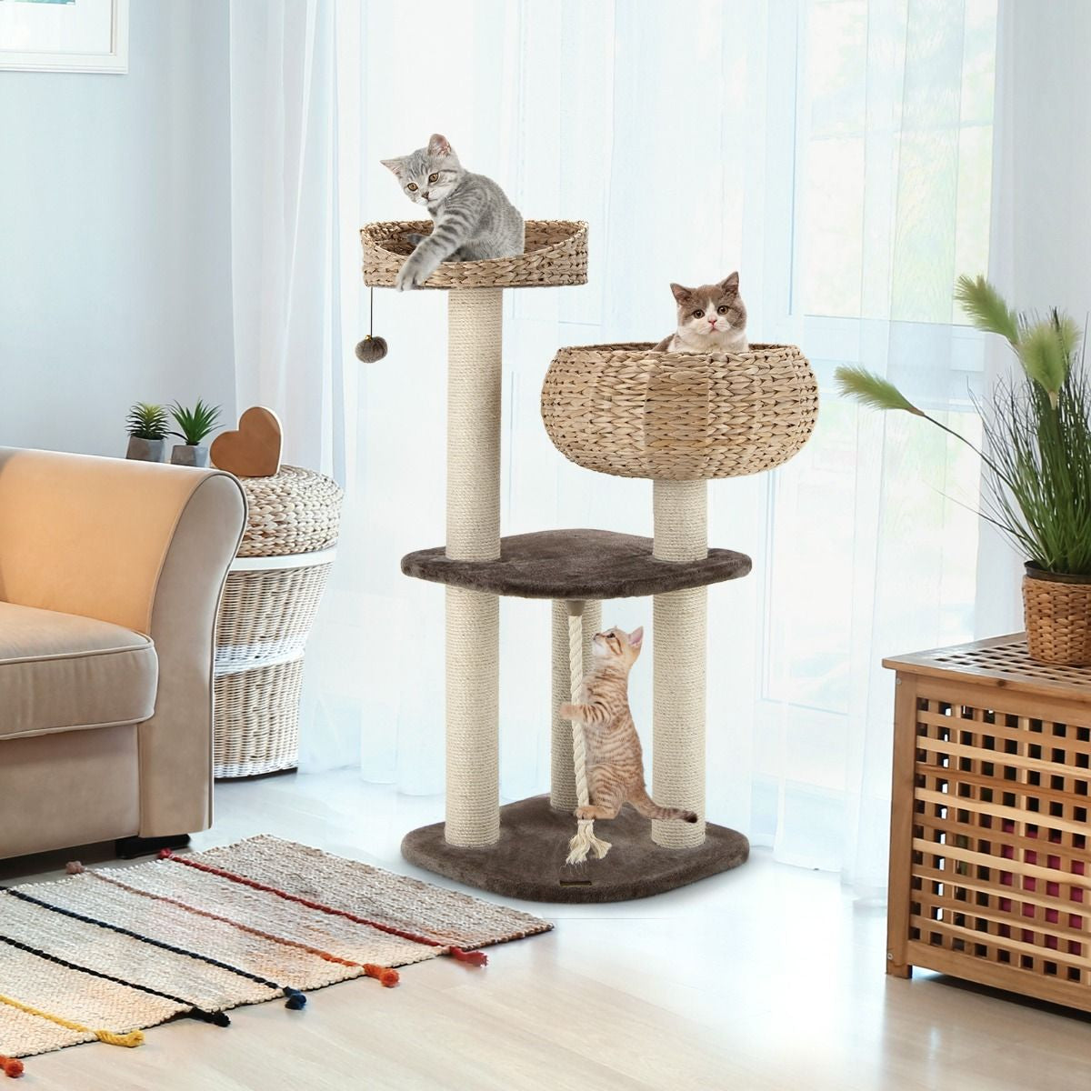 Albero per Gatti Da Interno Con Trespoli in Sisal Naturale, Lettini a Forma Di Cesto Con Pallina Appesa 2 Colori