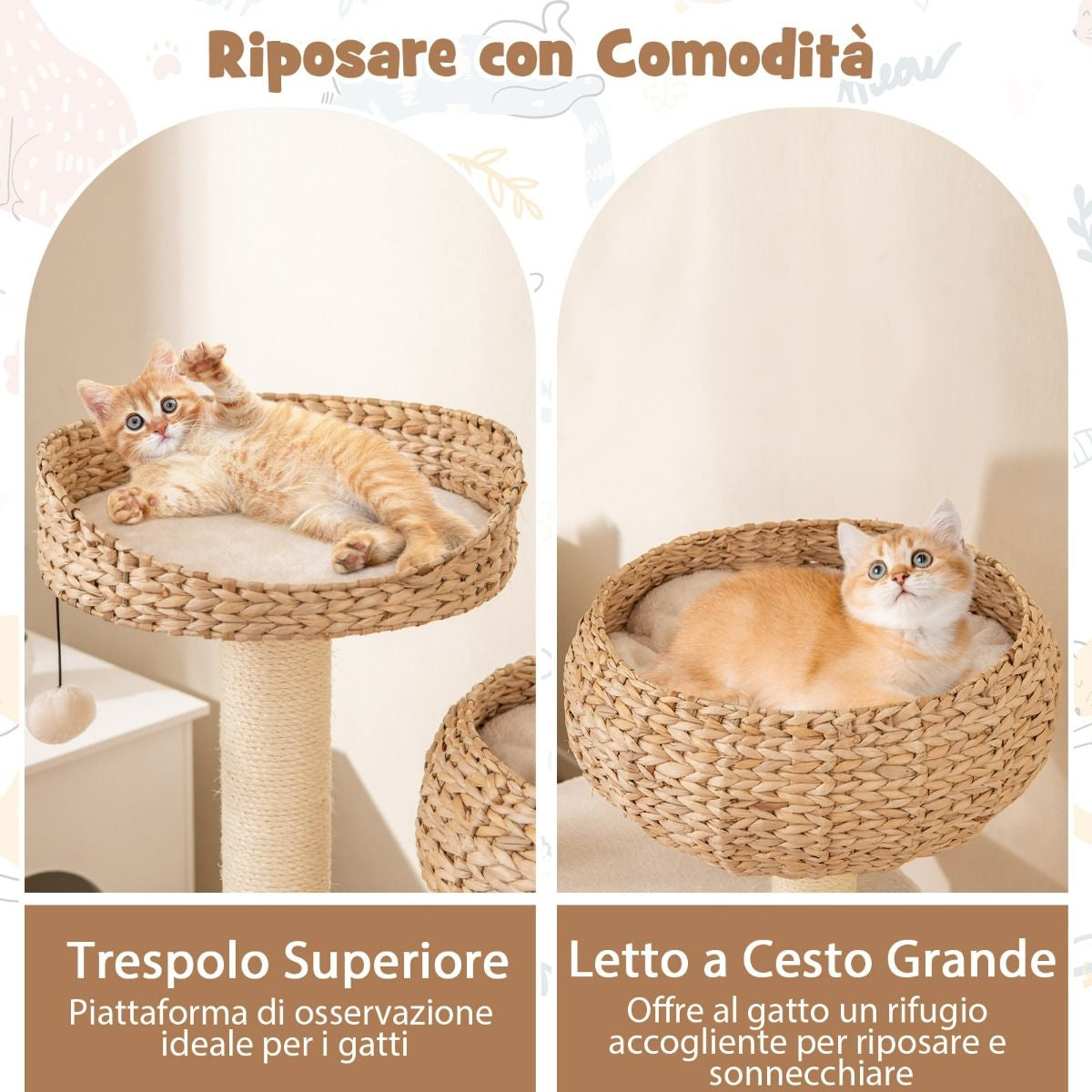 Albero per Gatti Da Interno Con Trespoli in Sisal Naturale, Lettini a Forma Di Cesto Con Pallina Appesa 2 Colori