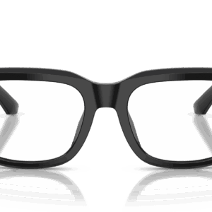 Dolce & Gabbana DG3416 501