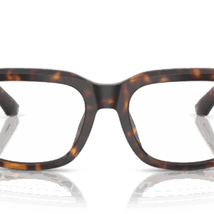 Dolce & Gabbana DG3416 502