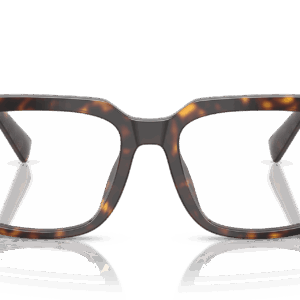 Dolce & Gabbana DG3422 502