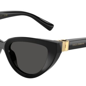 Dolce & Gabbana DG4497 501/87