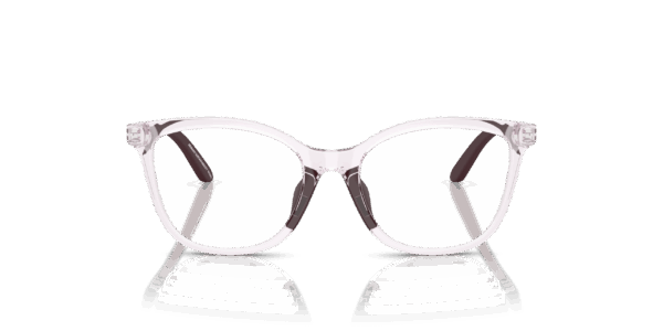 Emporio Armani EK3011U 6139