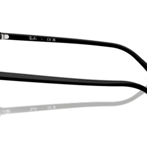 Ray-Ban Raimond RB2231 901/31