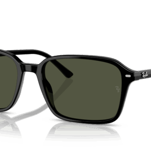 Ray-Ban Raimond RB2231 901/31