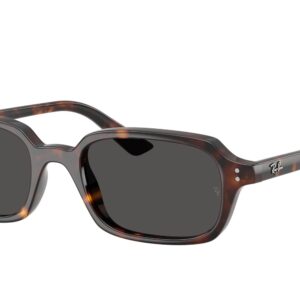 Ray-Ban Zuri RB4455 135987