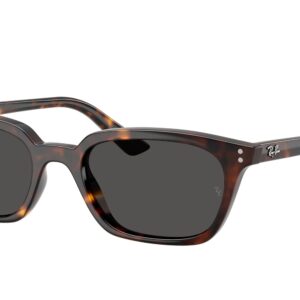 Ray-Ban Zaya RB4456 135987