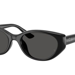 Ray-Ban RB4457D 667787