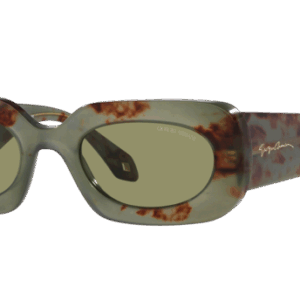 Giorgio Armani AR8182 597714