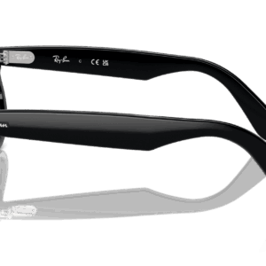 Ray-Ban Wayfarer Oval RX2242V 2000