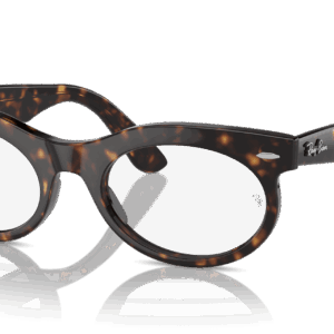 Ray-Ban Wayfarer Oval RX2242V 2012