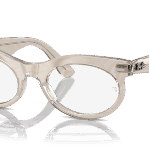 Ray-Ban Wayfarer Oval RX2242V 8291