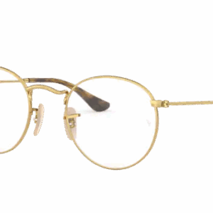 Ray-Ban Round Metal RX3447V 2500