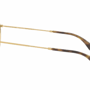 Ray-Ban Round Metal RX3447V 2500