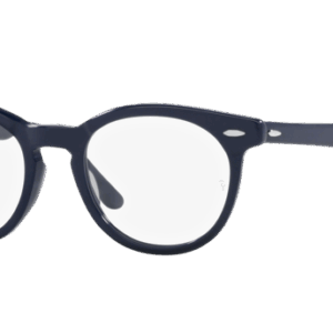 Ray-Ban Eagleeye RX5598 8231