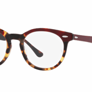 Ray-Ban Eagleeye RX5598 8250