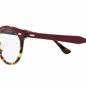 Ray-Ban Eagleeye RX5598 8250