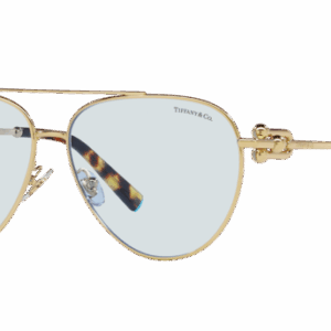 Tiffany TF3092 6176MF