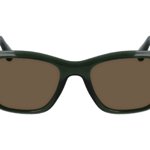 Ferragamo SF2001S 320